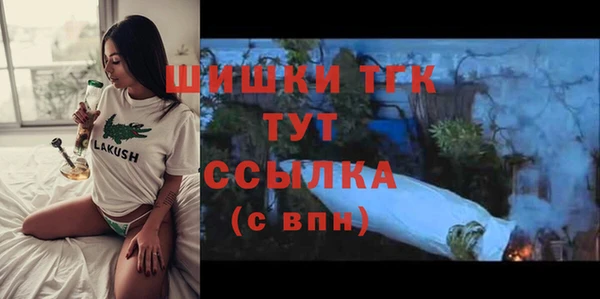 герыч Мегион