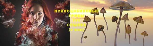 герыч Мегион
